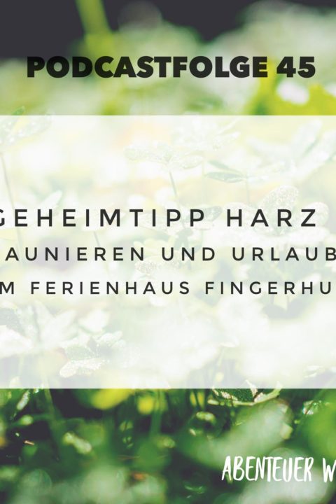 045 Geheimtipp Harz – Saunieren und Urlaub im Ferienhaus Fingerhut